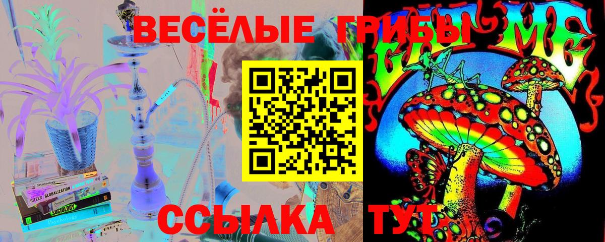 Псилоцибиновые грибы мицелий Балабаново
